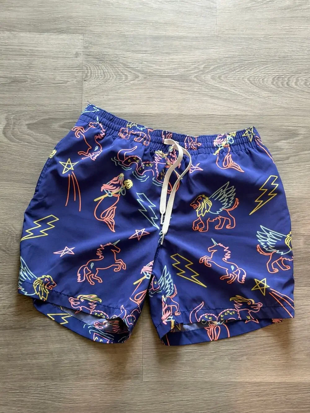 Chubbies men’s small swim trunks neon dragons and unicorns